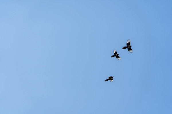 What Are the Latest Advances in Combating Diseases in the UK?